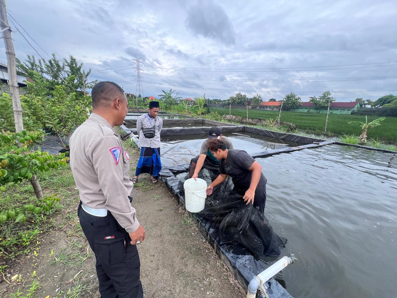 Polsek Wonoayu Apresiasi Perkembangan Budi Daya Mujair di Jimbaran Wetan