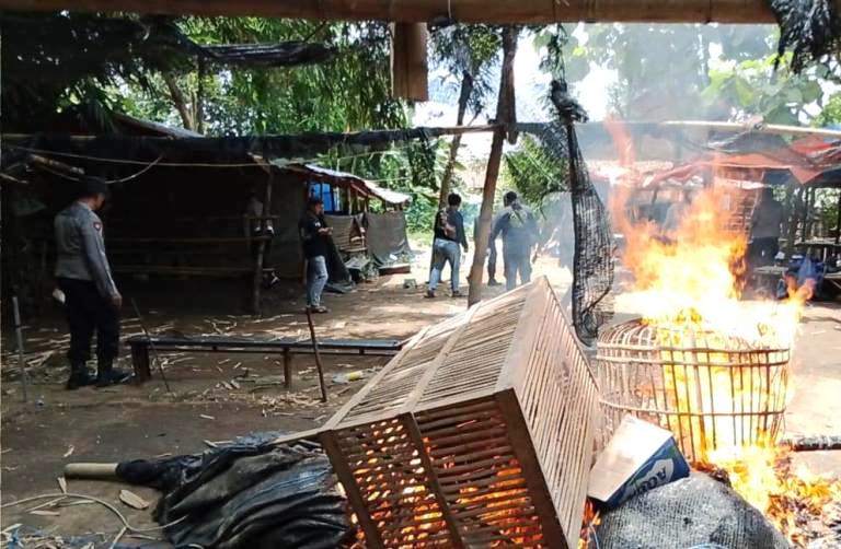 Polsek Ngronggot Bongkar Lokasi Diduga Perjudian Sabung Ayam di Klurahan