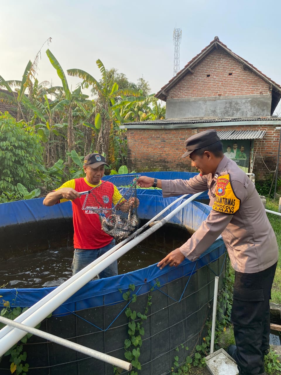 Dukung Ketahanan Pangan, Bhabinkamtibmas Polsek Taman Cek Budi Daya Patin