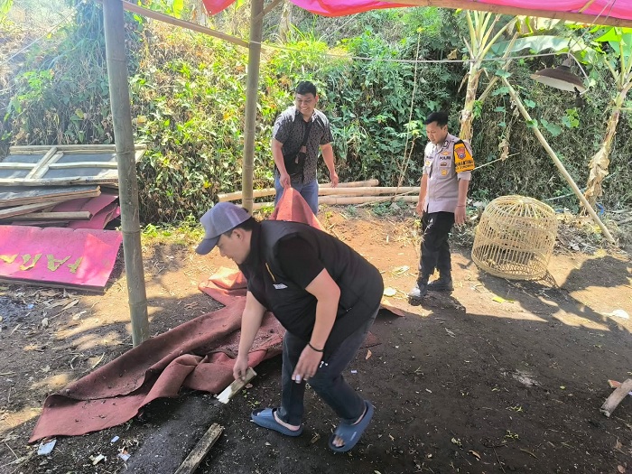 Polisi Bongkar Arena Sabung Ayam di Karangploso Malang