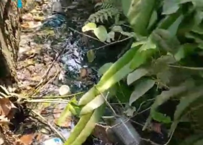 Limbah Hitam SPPG Tumenggungbaru Lamongan Bikin Warga Pusing! IPAL Ada Tapi Bau Masih Menyengat