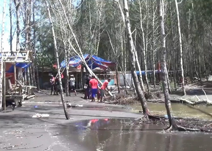 Puluhan Warung Porak-poranda Disapu Banjir Rob Pantai Cemara Jember