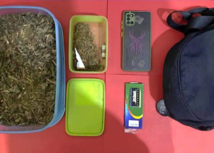 Pengusaha Sablon Asal Jember Sembunyikan Ganja Dalam Toples