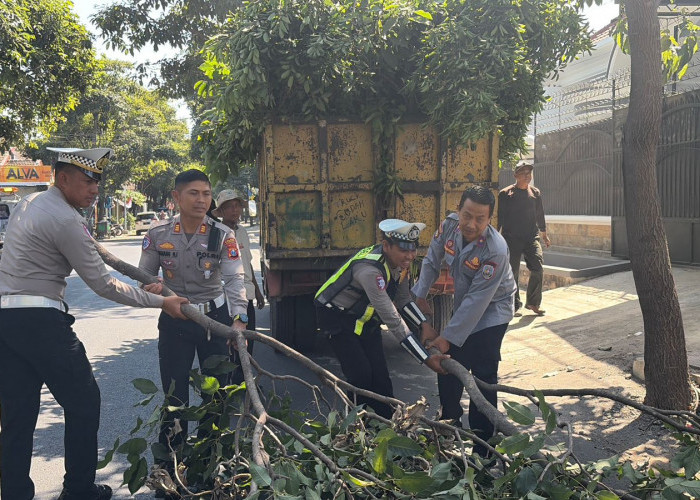 Cegah Laka Lantas, Satlantas Polres Situbondo Bersama DLH dan Dishub Bersihkan Ranting Penutup PJU