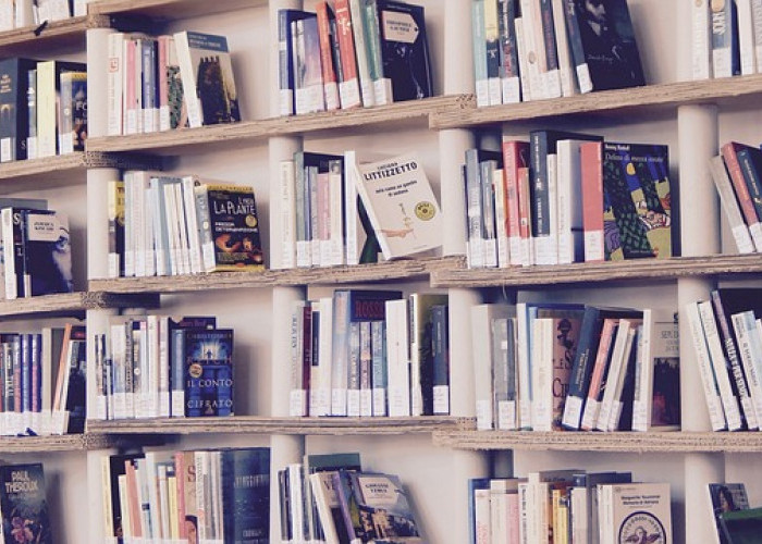 Tips Memilih Buku yang Baik: Panduan Menuju Petualangan Membaca yang Menyenangkan