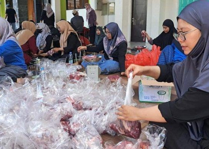 Wujud Kepedulian Sosial, SMP Islam Al Azhar Kelapa Gading Surabaya Kurban 8 Sapi dan 40 Kambing