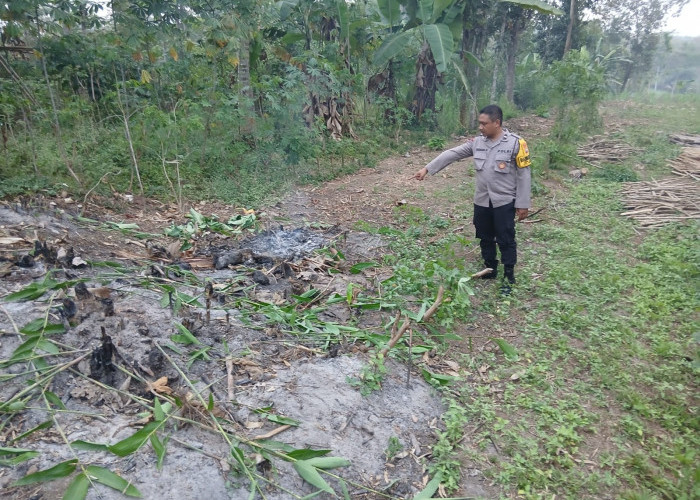 Cekcok di Ladang, Pria di Blitar Bacok Tetangga