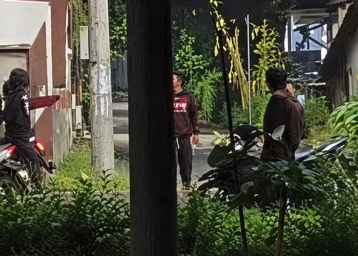 Jember Mencekam! Geng Pemuda Ngamuk Hancurkan Lapak Pedagang di Bangsalsari, Warga Gemetar Ketakutan