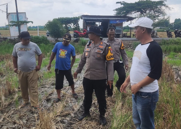 Polisi Tinjau Lahan Pertanian Guna Ketahanan Pangan