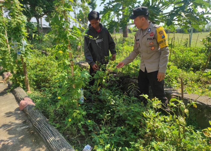 Bhabinkamtibmas Widodaren Monitoring Lahan Sayuran dan Cabai Warga, Dukung Ketahanan Pangan di Ngawi 