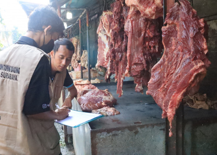 RPH Surya Siapkan 9 Ton Daging Sapi untuk Ramadan dan Idul Fitri