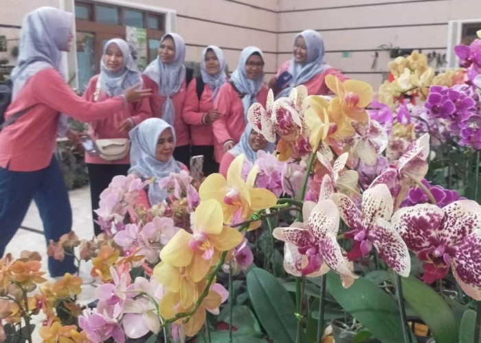 Pemkab Jember Kembali Gelar Festival Anggrek Sepekan