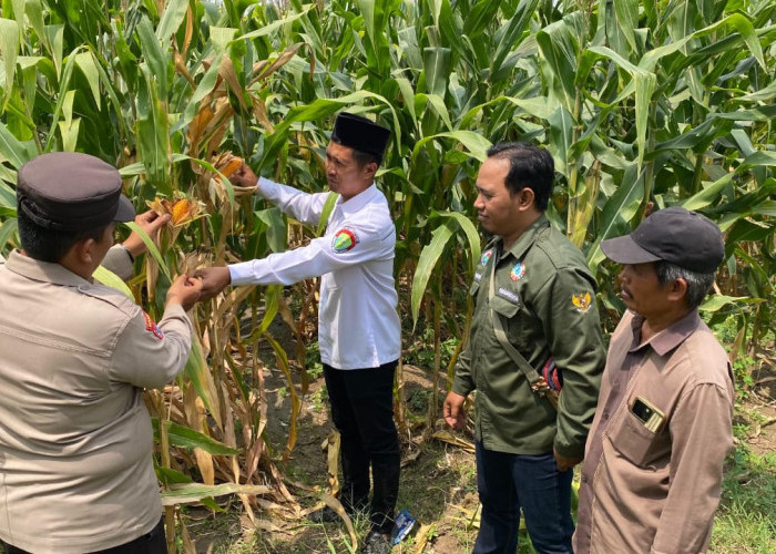 Polisi Sidoarjo Rajin Dampingi Petani Sukseskan Program Ketahanan Pangan