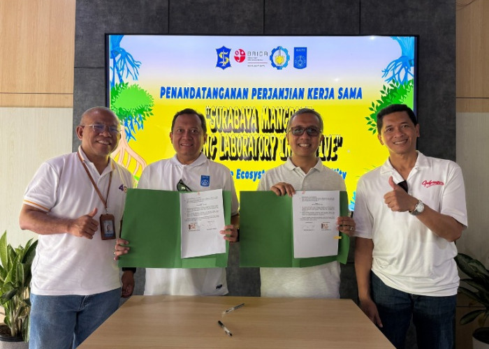 ITS dan BRIDA Kembangkan Mangrove Surabaya Jadi Laboratorium Alam Berbasis Teknologi