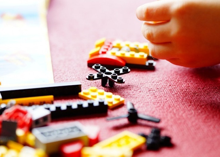 Lego Brick untuk Dewasa: Melepas Penat dan Mengekspresikan Diri melalui Kreasi