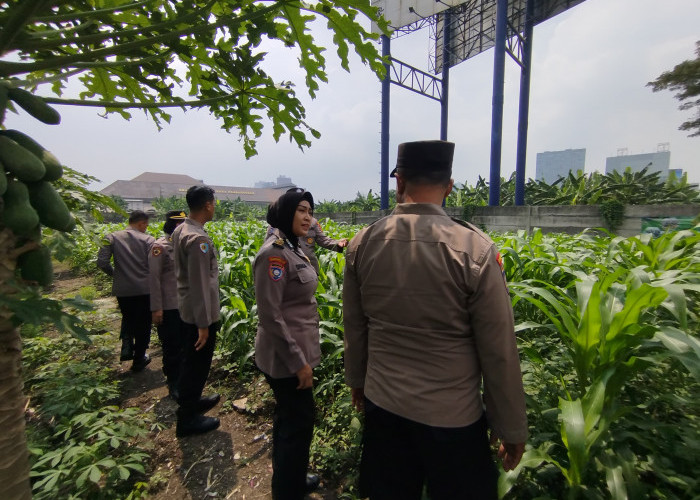 Tingkatkan Swasembada Pangan, Polsek Waru Ajak Petani Serius Kelola Tanaman Jagung