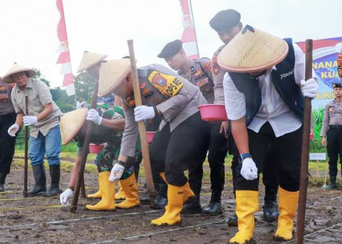 Kapolres Jombang Pimpin Penanaman Jagung Serentak Kuartal I 2026 di Desa Ngumpul