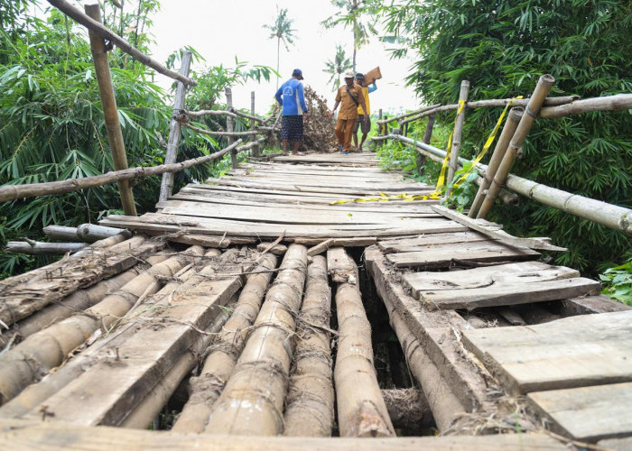 Jembatan Asmoyo di Desa Curah Takir Jember Rusak Parah