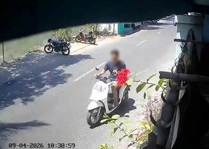Jelang Salat Jumat, Maling Gondol Scoopy di Warkop Asemrowo Surabaya