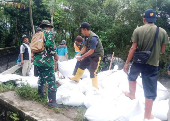 Langkah Cepat Babinsa dan Warga Tutup Irigasi Jebol di Selokgondang Lumajuang