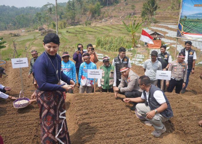 Bupati Trenggalek Motivasi Petani Kembangkan Bawang Putih
