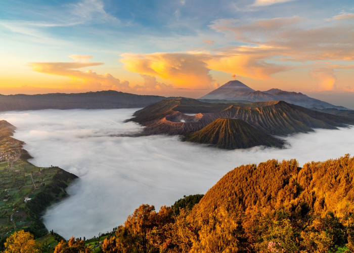 Jelajahi Keindahan Alam Jawa Timur: 5 Gunung Ini Cocok untuk Pendaki Pemula