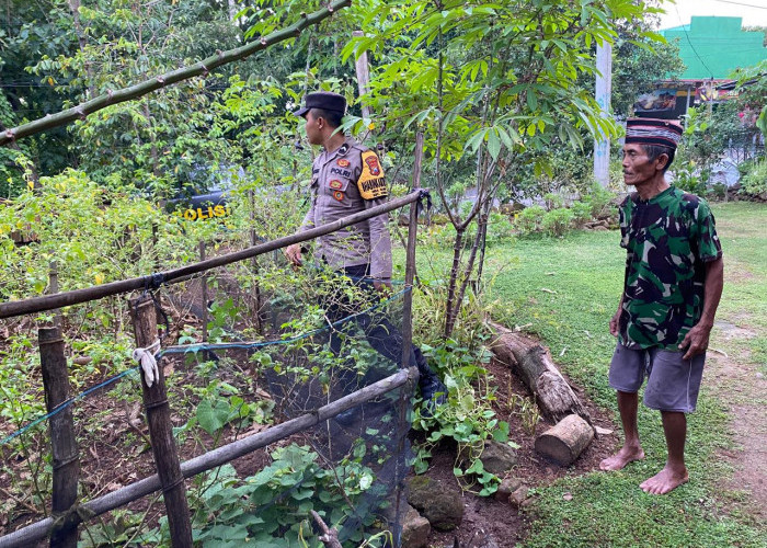Dukung Ketahanan Pangan, Bhabinkamtibmas Kendal Monitoring Pekarangan Sayuran