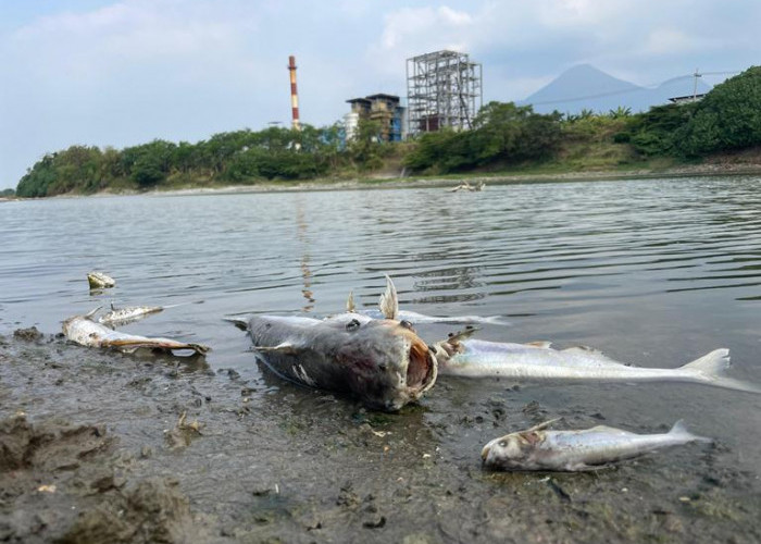 Aktivis KOPIPA Desak Pemulihan Sungai Brantas, Kritik Program Brantas Tuntas