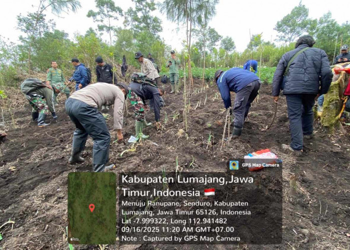 Personel Gabungan Tertibkan Lahan Garapan Ilegal di Kawasan TNBTS Ranupani