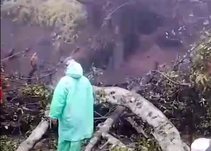 Longsor di Jalur Bromo, 7 Motor Pengunjung Tertimbun