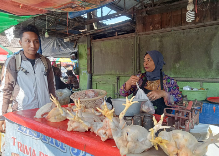 Harga Ayam di Pasar Ngemplak Masih Rp38 Ribu per Kg, Beberapa Hari Lagi Diprediksi Turun
