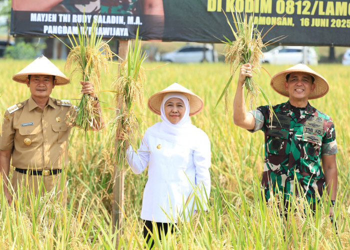 Produksi Padi Jatim Tembus 9,86 Juta Ton, Gubernur Khofifah: Petani Harus Makin Sejahtera