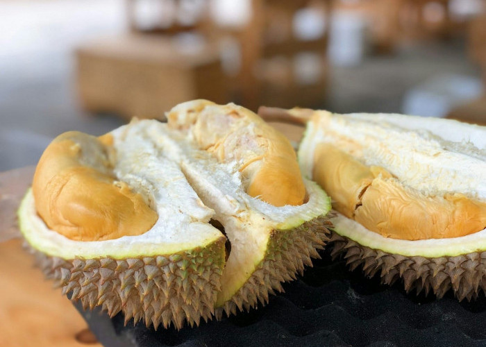Manfaat Kesehatan Tersembunyi dalam Buah Durian