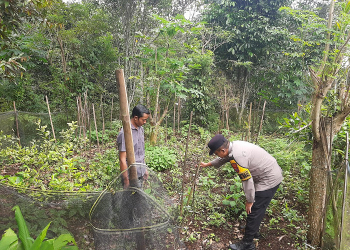 Bhabinkamtibmas Ngrambe Monitoring Pekarangan Sayuran, Dorong Ketahanan Pangan Warga
