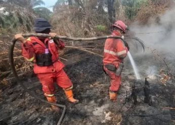 Ribuan Nakes dan Ratusan Ribu Logistik Medis Siap Tangani Dampak Karhutla