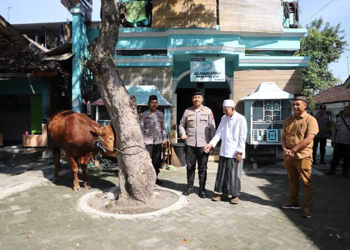 Sambut Iduladha 2026, Polres Kediri Distribusikan Hewan Kurban ke Ponpes 