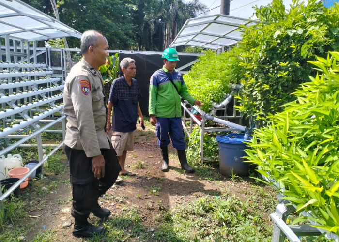 Polsek Pabean Cantikan Pantau Pertumbuhan Hidroponik, Ketahanan Pangan Makin Terjamin