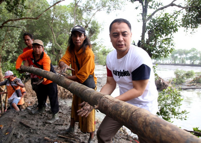 Atasi Banjir Rob, Pemkot Surabaya Gotong Royong Perbaiki Tanggul Greges Timur