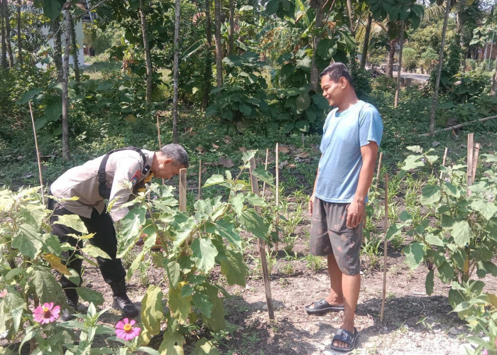 Bhabinkamtibmas Mantingan Pantau Budidaya Terong Warga, Wujudkan Ketahanan Pangan
