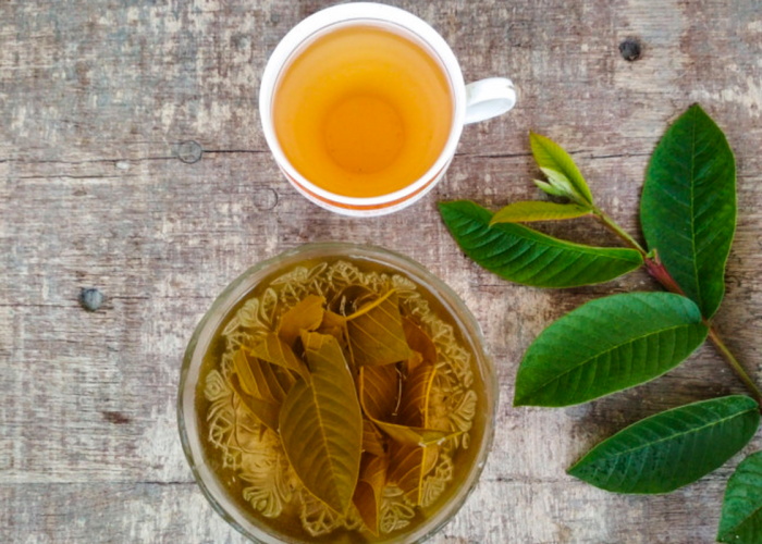 4 Khasiat Air Rebusan Daun Jambu untuk Kesehatan Tubuh