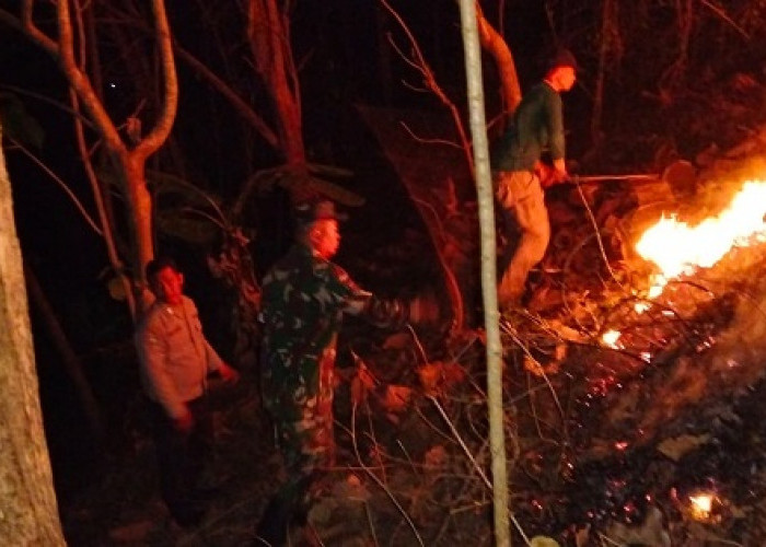 Hutan Jati Perhutani di Pagerwojo Blitar Terbakar, TNI dan Warga Berjibaku Padamkan Api