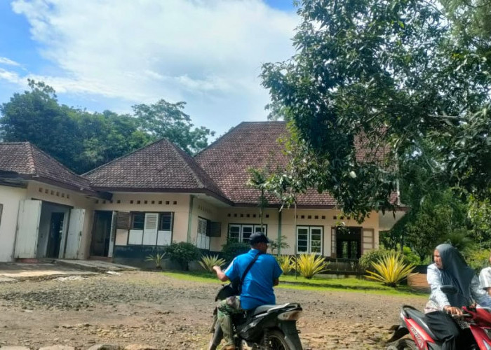 Tak Sekadar Heritage, Kampung Belgia Jember Jadi Saksi Bisu Perkebunan Dunia dan Lokasi Syuting Film Nasional