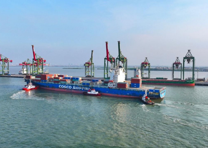 Arus Perikemas Internasional Terminal Teluk Lamong Tumbuh Lebih dari 90 Persen