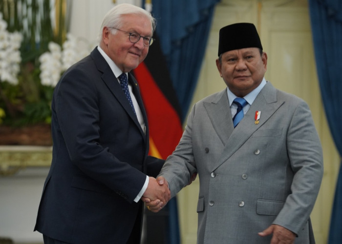 Presiden Prabowo Ajak Jerman Perluas Investasi di Energi Terbarukan hingga Kendaraan Listrik