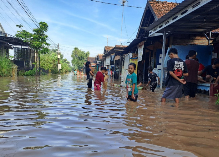 Lebih Tiga Jam Hujan Deras, Desa Kademangan Jombang Diterjang Banjir