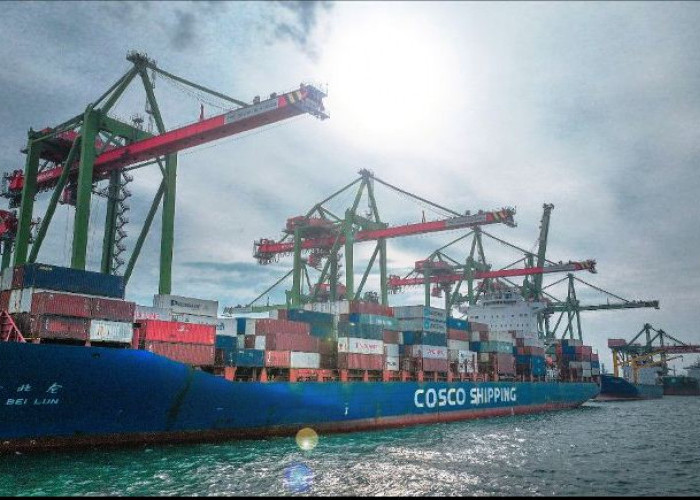 TTL Catat Arus Petikemas 2,8 Juta TEUs Sepanjang 2025