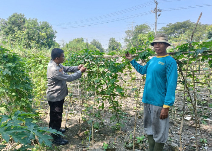 Dukung Ketahanan Pangan, Polsek Porong Dampingi Warga Kelola Pekarangan Pangan Bergizi