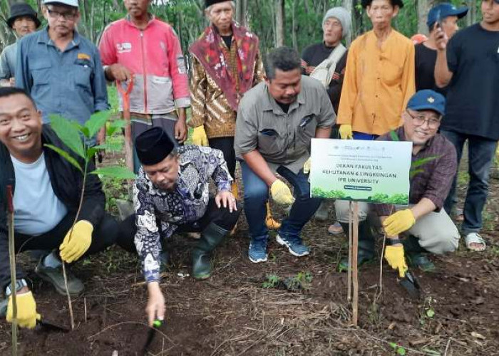 Gandeng IPB, Pemkab Situbondo Tanam 20 Ribu Tanaman Buah di Kawasan Hutan