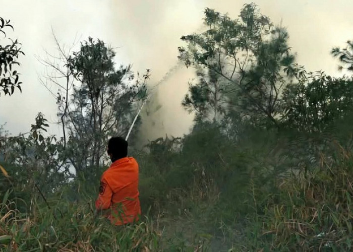  Karhutla Kembali Melanda TNBTS Tosari Pasuruan, Api Merembet ke Bukit Kingkong