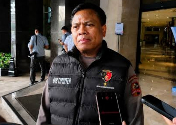 Karhutla Meluas, Polisi Tetapkan 162 Orang Jadi Tersangka
